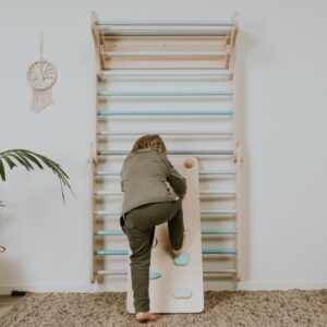 Store Boncellensis Secullant